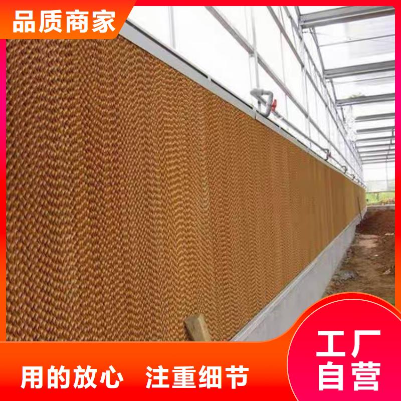 大棚管连体大棚工期短发货快