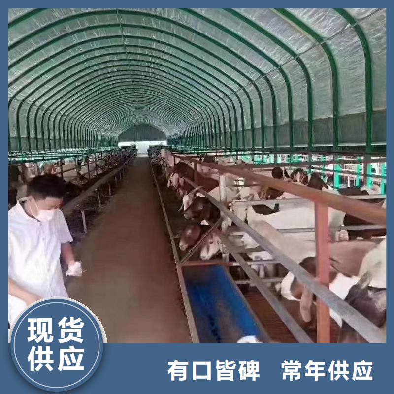 大棚管-智能温室大棚海量现货直销