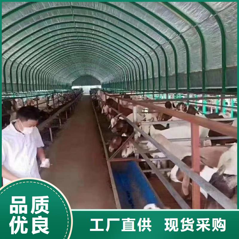 【大棚管】,方矩管多种规格库存充足