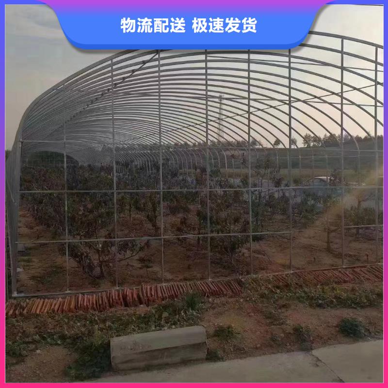 【大棚管温室大棚管现货齐全售后无忧】