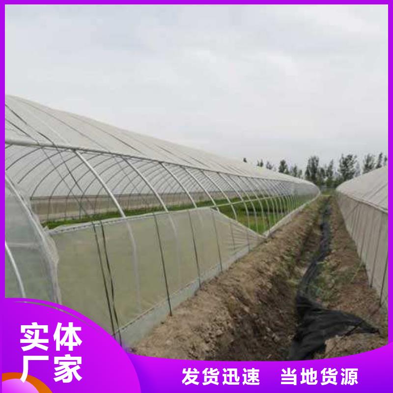 大棚管农业养殖大棚管好厂家有担当