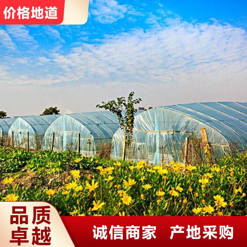 大棚管连栋大棚管的简单介绍