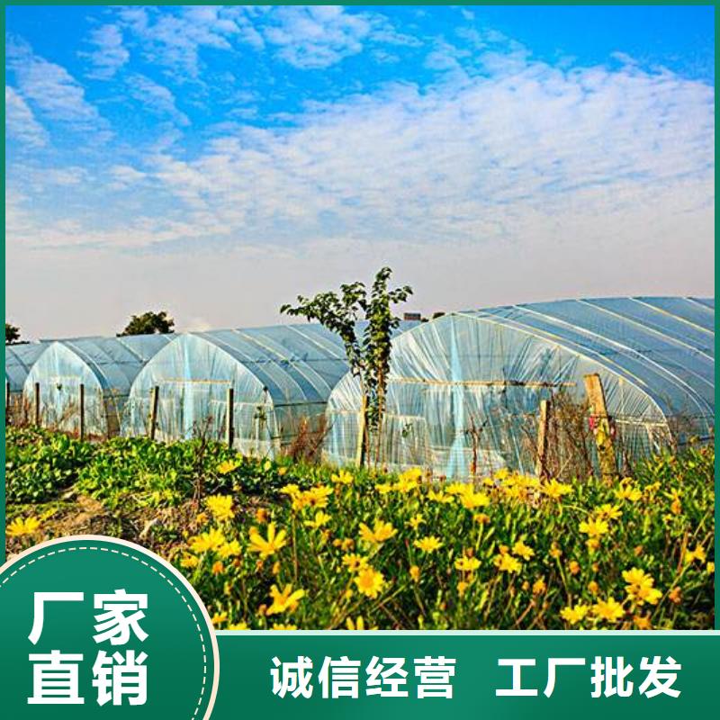 大棚管性能稳定