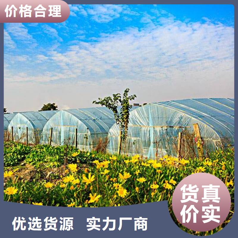 大棚管,镀锌大棚管产地源头好货