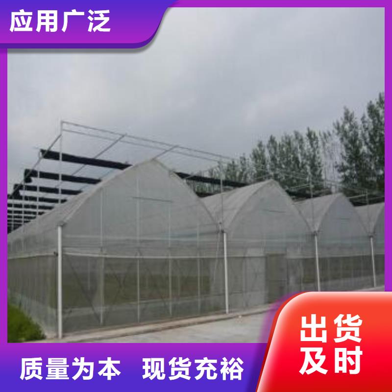 大棚管椭圆管温室大棚厂家直销省心省钱