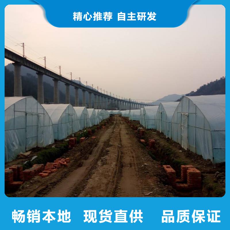 【大棚管农业养殖大棚管工艺精细质保长久】