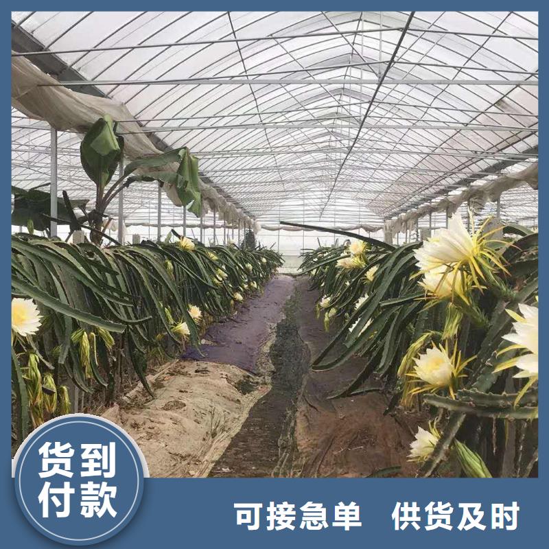 大棚管连栋大棚管的简单介绍
