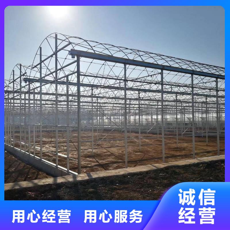 大棚管连体大棚符合标准