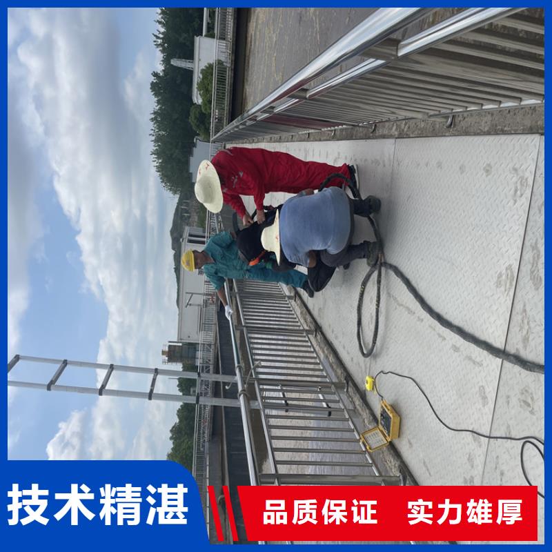 闸门水下堵漏公司本地施工队