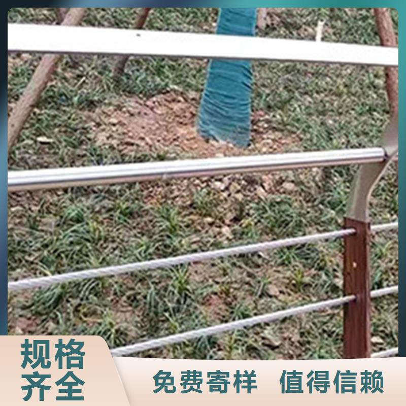 钢索护栏资讯