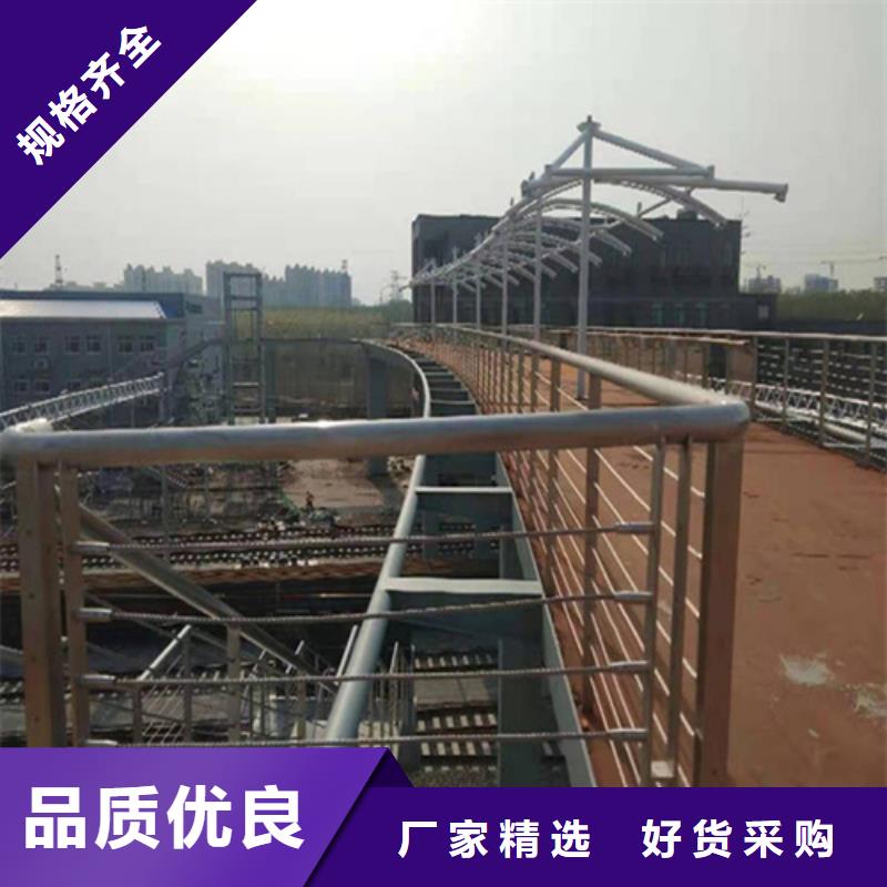 不锈钢钢丝绳护栏,【景观灯光护栏】常年供应