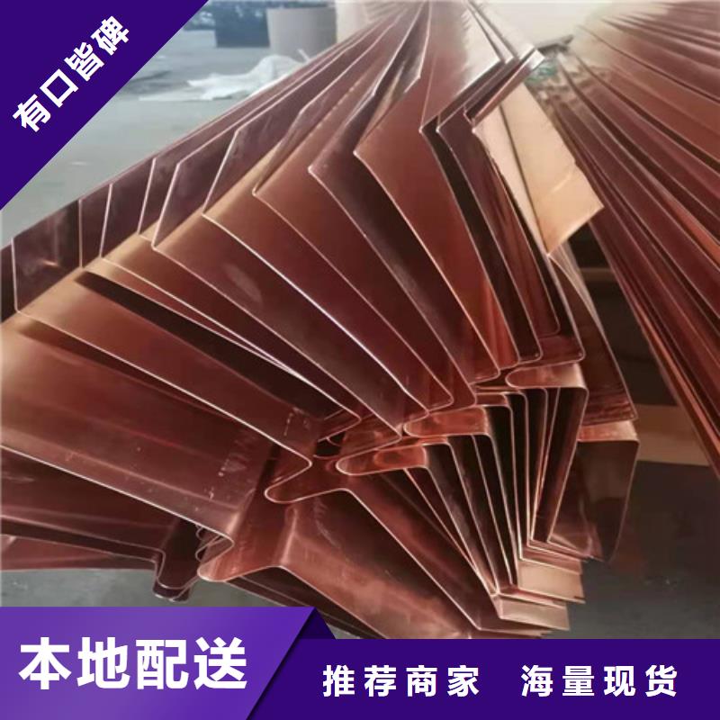 【铜排铜片单向塑料土工格栅快速报价】