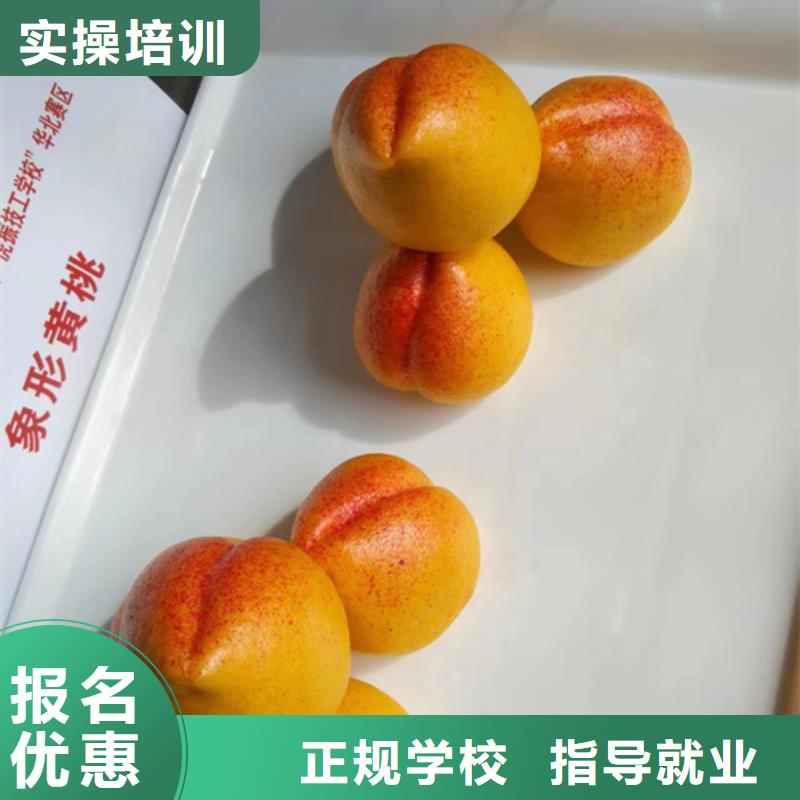 厨师烹饪学校报名地址|哪里可以学厨师烹饪|虎振厨师技校一年学费