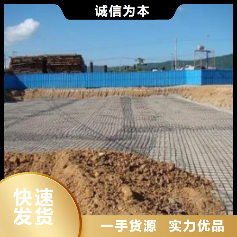 钢塑土工格栅【三维植被网】支持大小批量采购