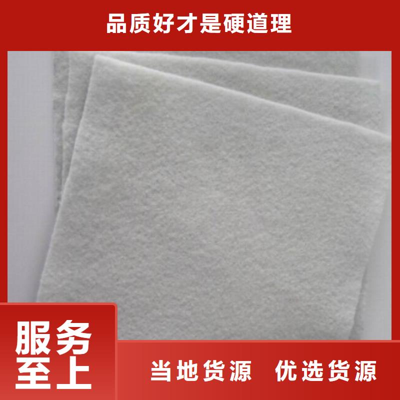 【土工布】HDPE土工膜厂家现货供应