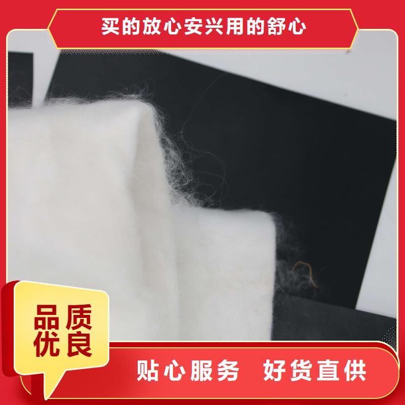 土工布,PP焊接土工格栅品种全
