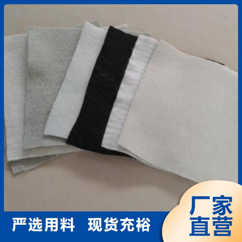 土工布单向塑料土工格栅制造厂家