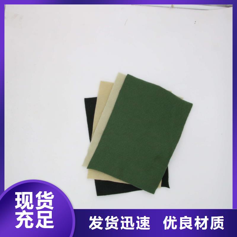 土工布-三维复合排水网产地直销