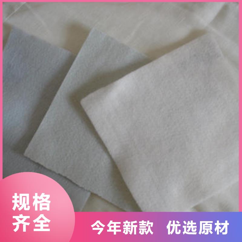 土工布单向塑料土工格栅制造厂家