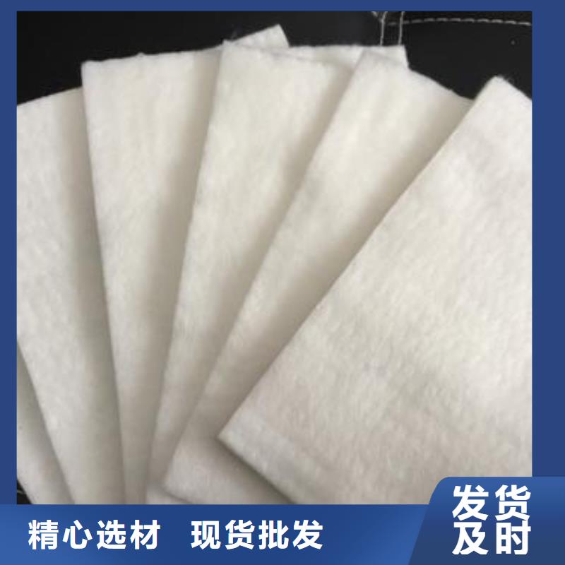 土工布-三维复合排水网产地直销