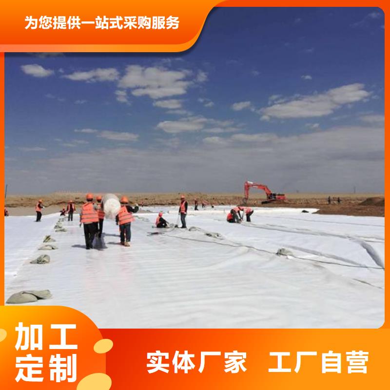 土工布HDPE土工膜厂家现货供应