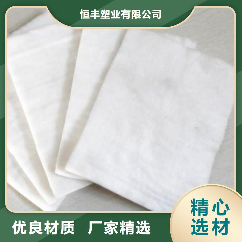 土工布聚乙烯土工膜专注生产制造多年