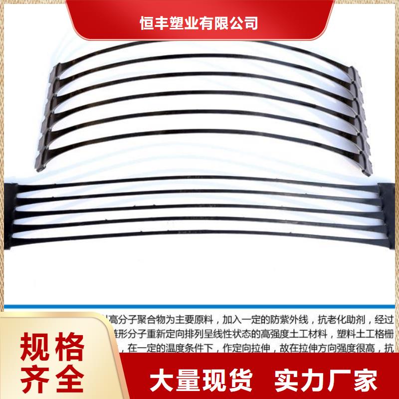 单向塑料土工格栅护坡土工网丰富的行业经验