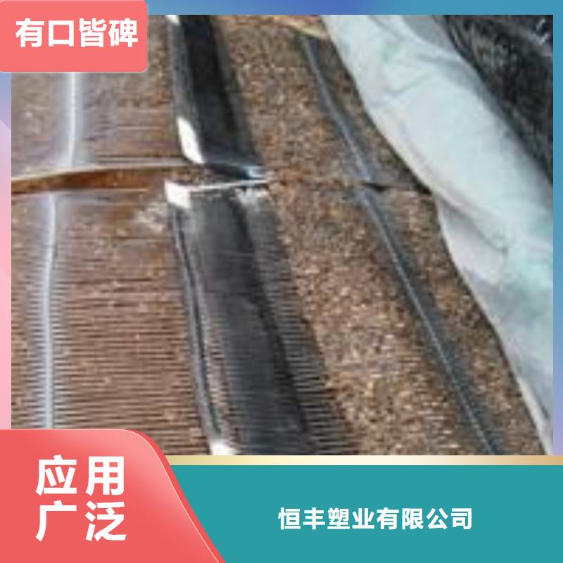 单向塑料土工格栅复合土工膜质量牢靠