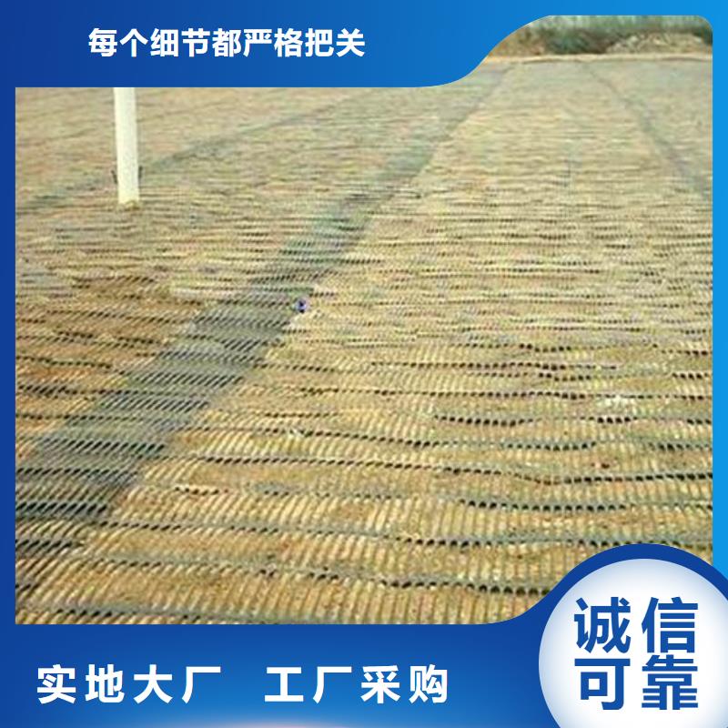 单向塑料土工格栅双向拉伸塑料格栅产地直销