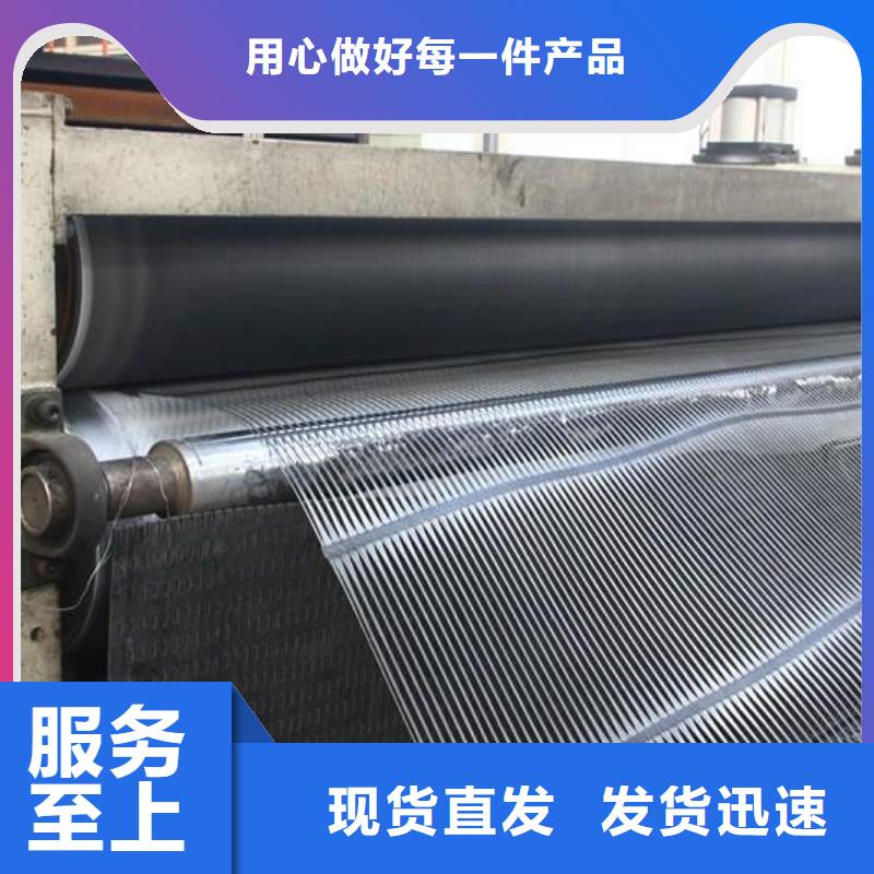 单向塑料土工格栅双向拉伸塑料格栅产地直销