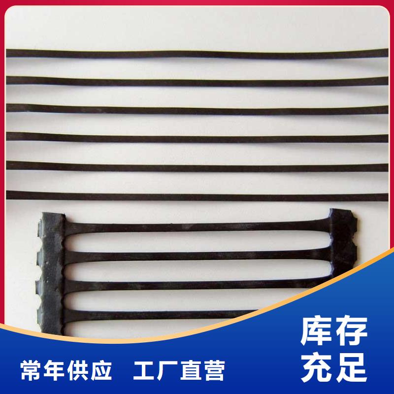单向塑料土工格栅长丝土工布工厂直营