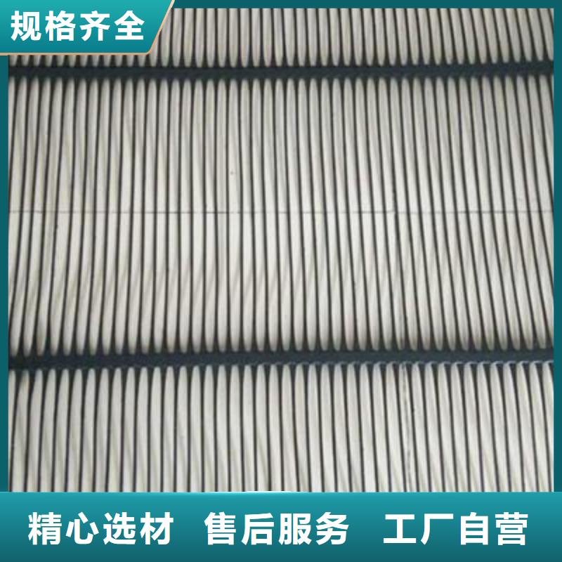 单向塑料土工格栅长丝土工布工厂直营
