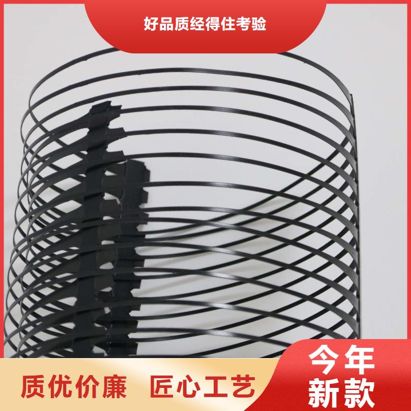 单向塑料土工格栅-【HDPE土工膜】按需定制