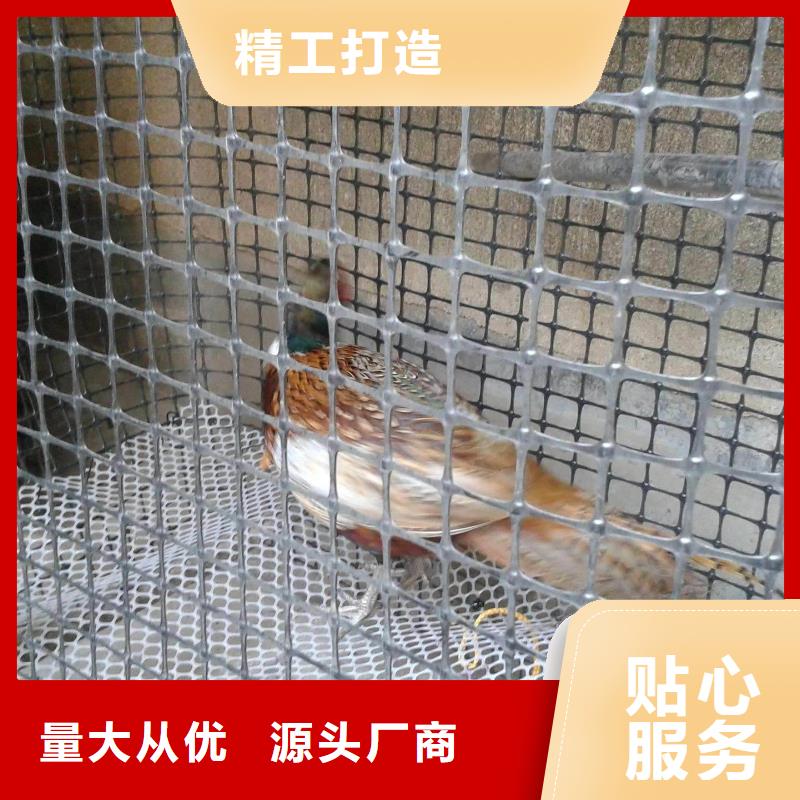 双向塑料土工格栅,短丝土工布实力才是硬道理