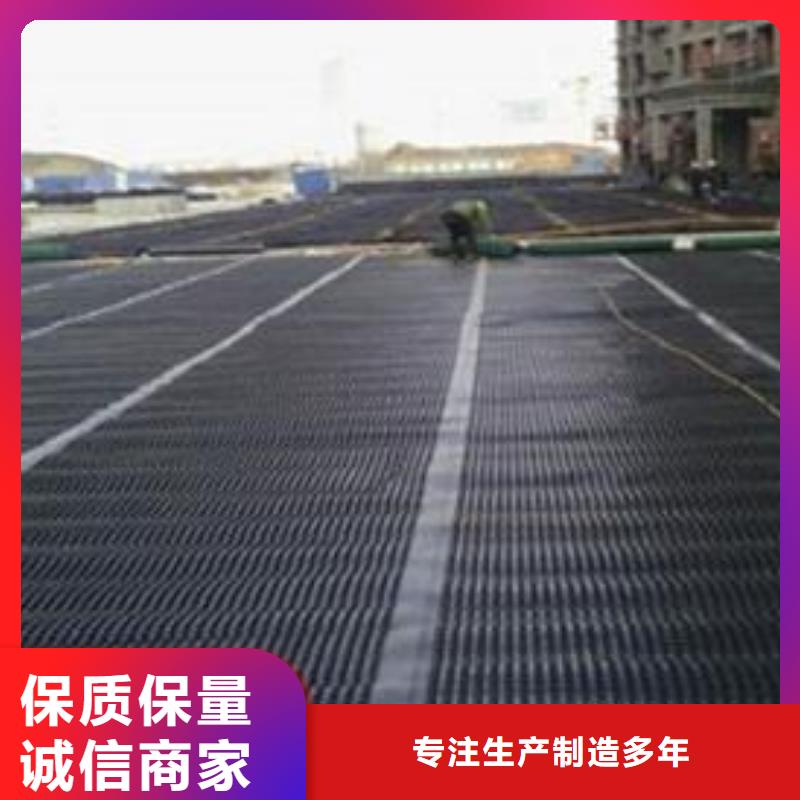 双向塑料土工格栅三维土工网垫品种全