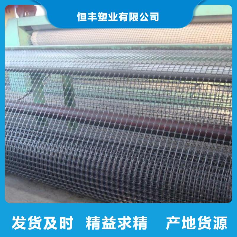 双向塑料土工格栅复合土工膜诚信经营质量保证