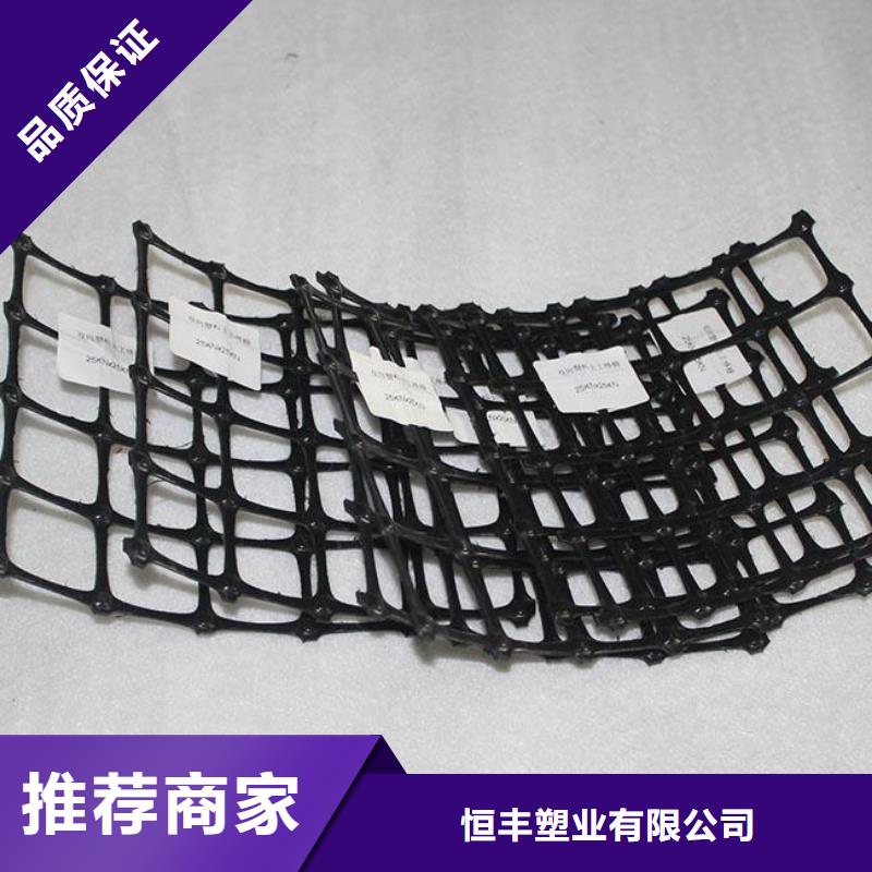 双向塑料土工格栅-钢塑土工格栅品质卓越