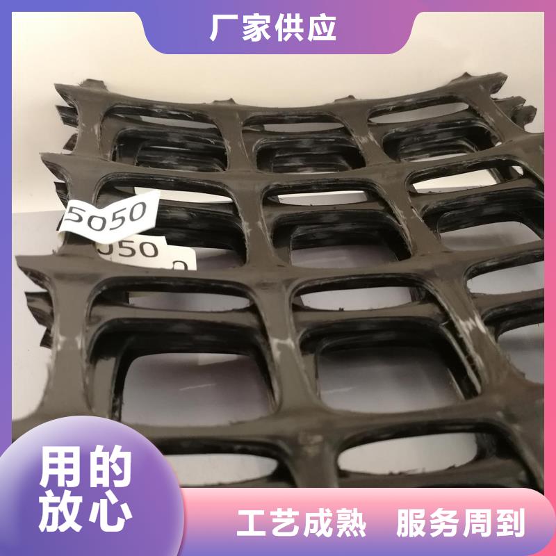 双向塑料土工格栅塑料土工滤网满足客户需求