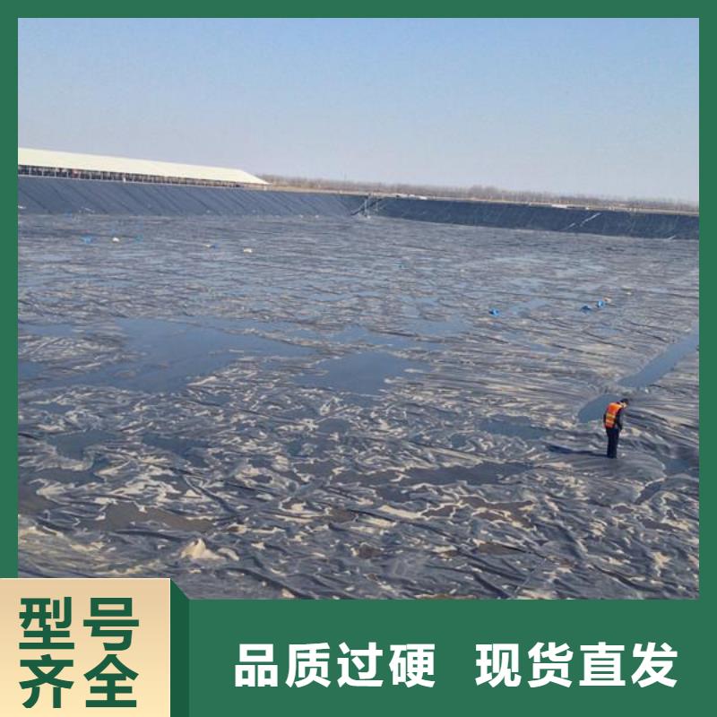 土工膜蜂巢格室厂家直销规格多样