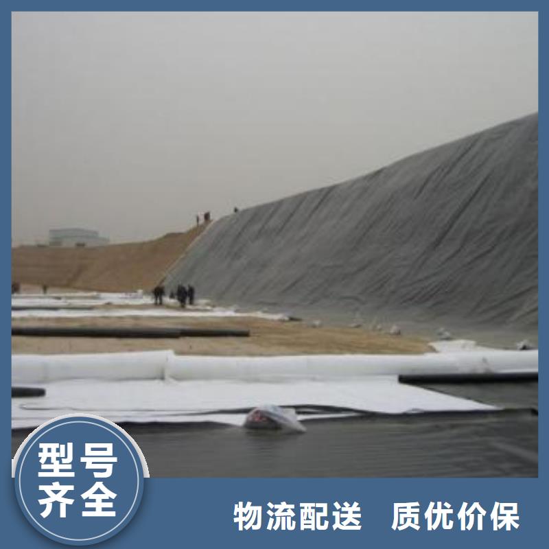 土工膜城建土工膜多年实力厂家