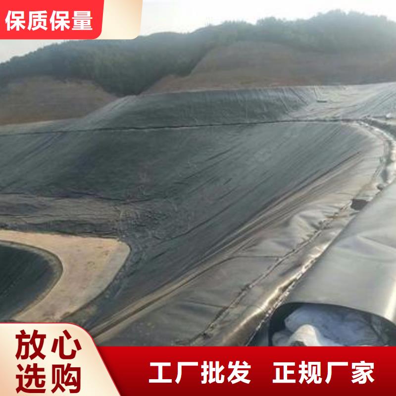 土工膜蜂巢格室厂家直销规格多样