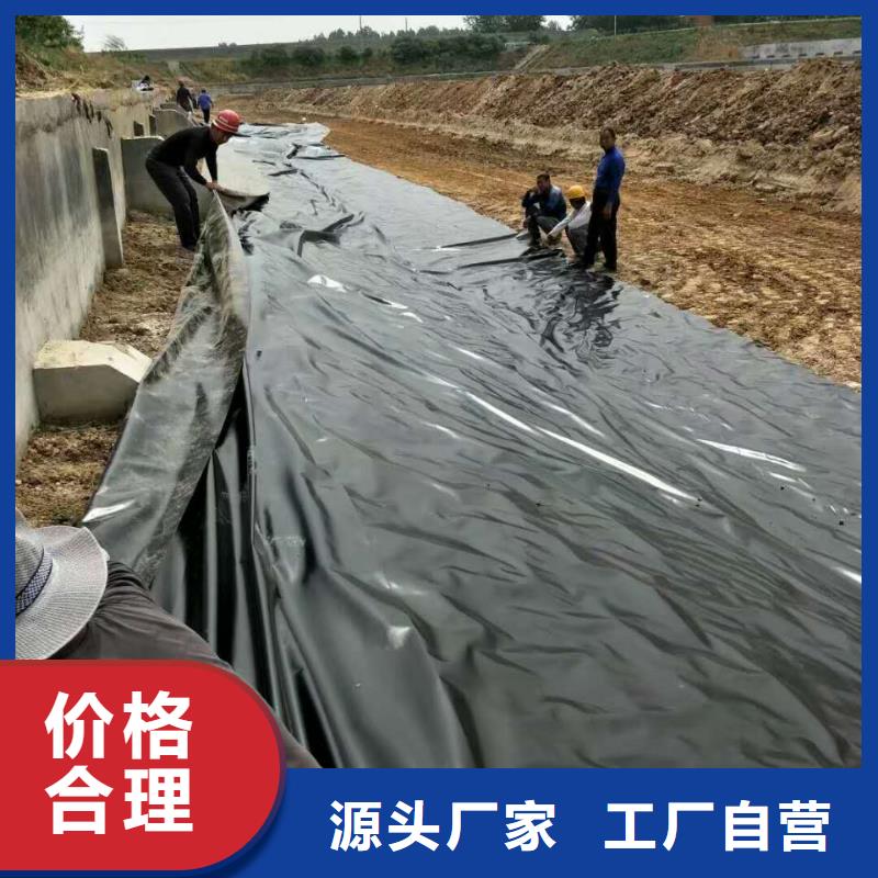 【土工膜】涤纶土工格栅海量货源