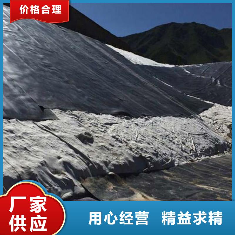 土工膜单向塑料土工格栅产地直销