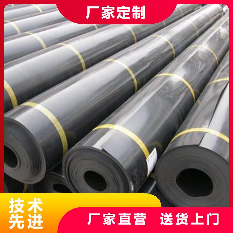 土工膜单向塑料土工格栅产地直销