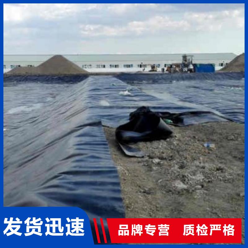 土工膜毛细排水板价格实惠