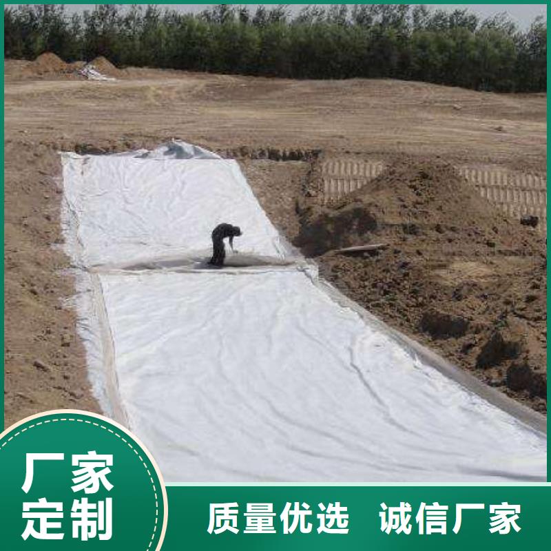 复合土工膜-防渗土工膜优质货源