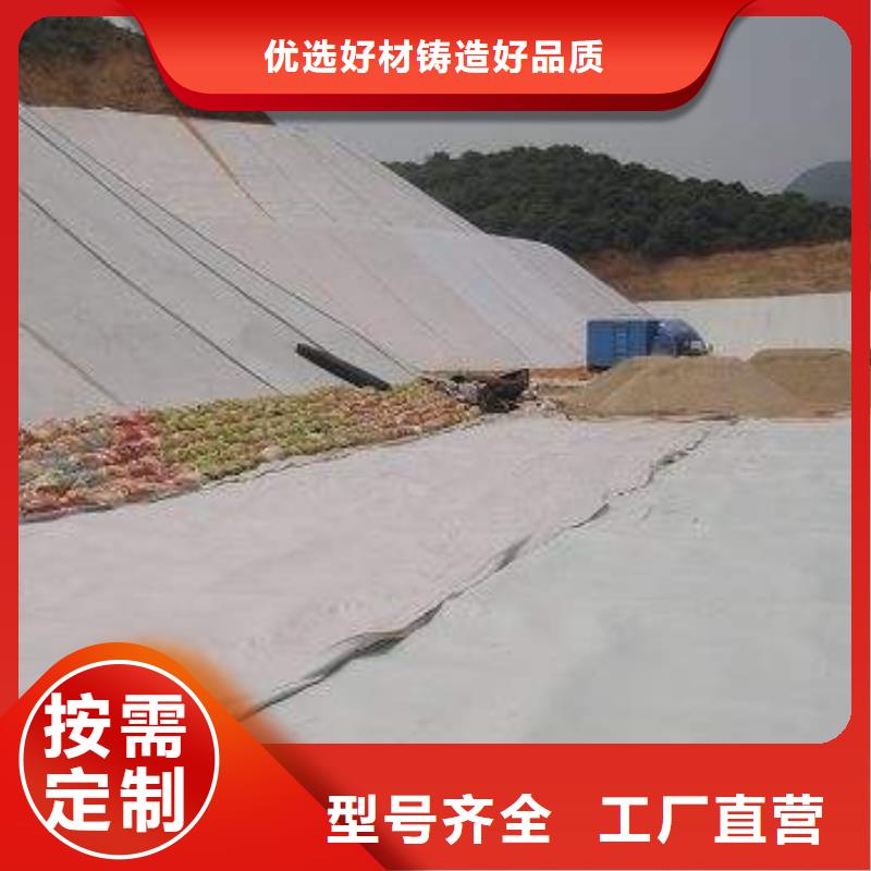 复合土工膜【三维土工网垫】支持定制批发