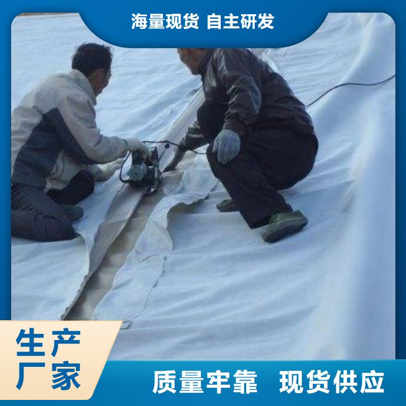 复合土工膜-土工格室当地厂家值得信赖