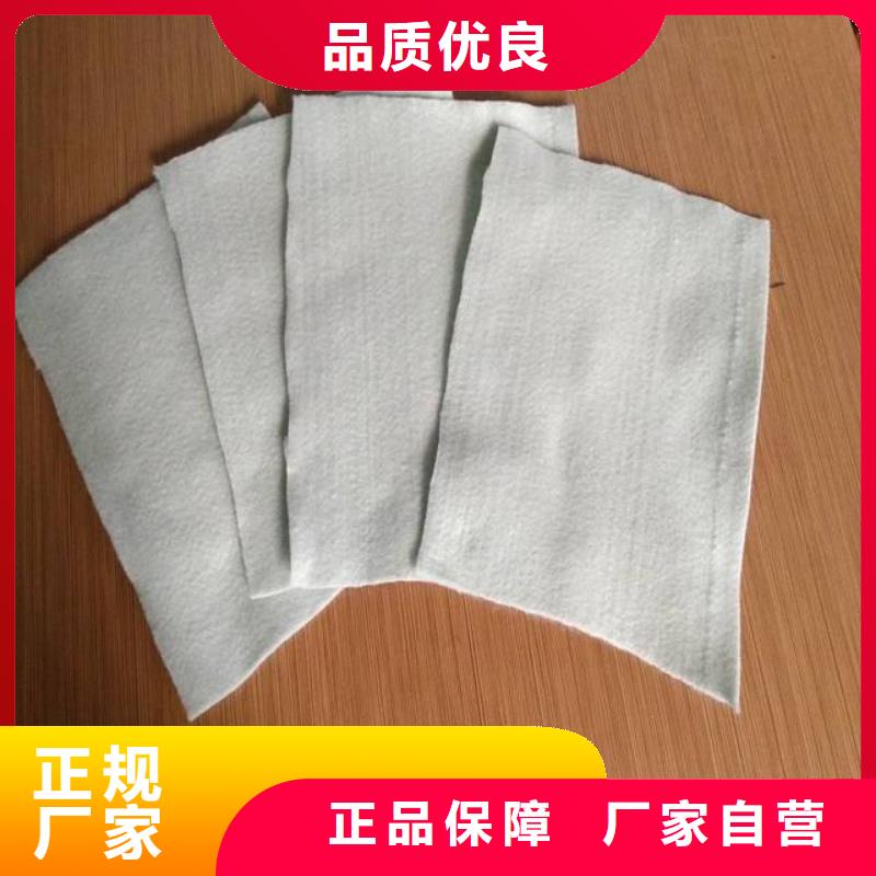 复合土工膜大厂生产品质