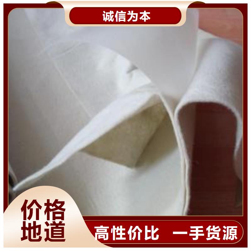 复合土工膜PP焊接土工格栅实体厂家支持定制